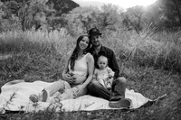 StendelMaternity-4