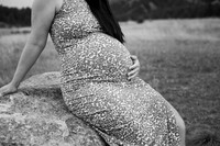 CarolynnMaternity-14