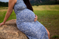 CarolynnMaternity-13