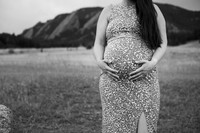 CarolynnMaternity-20