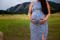 CarolynnMaternity-19