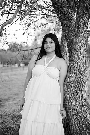 KristinaSeniorSession-166